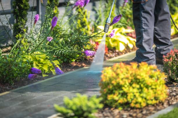 Best Parking Lot and Garage Cleaning  in Pleasure Point, CA