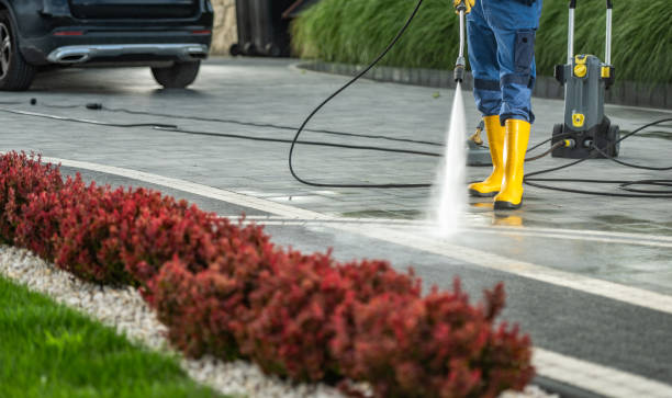 Best Dumpster Area Cleaning  in Pleasure Point, CA